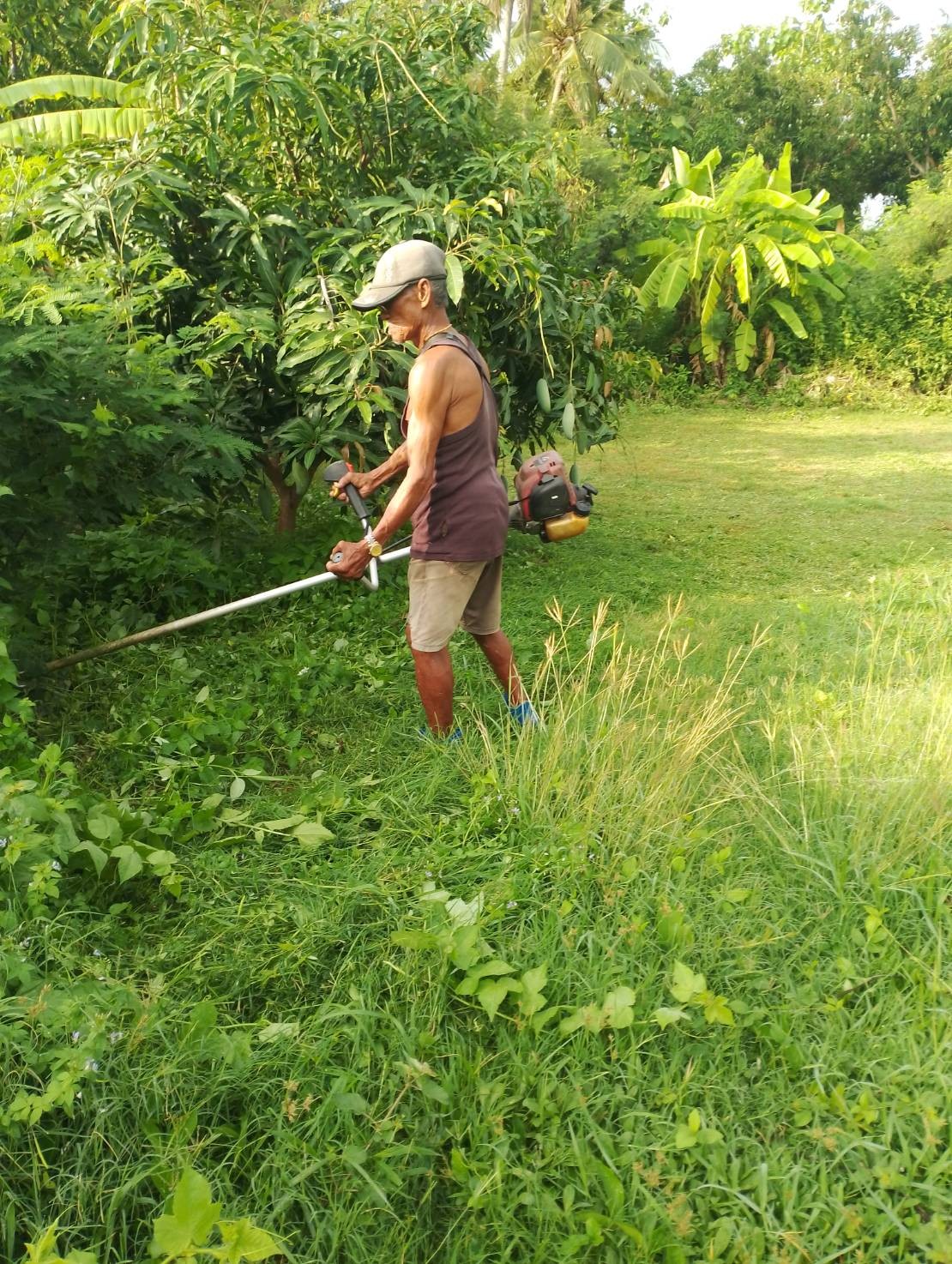 service