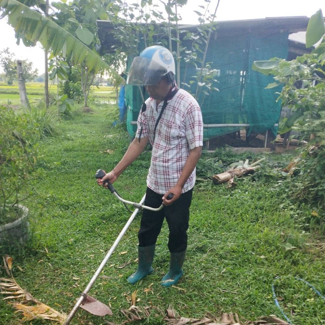service